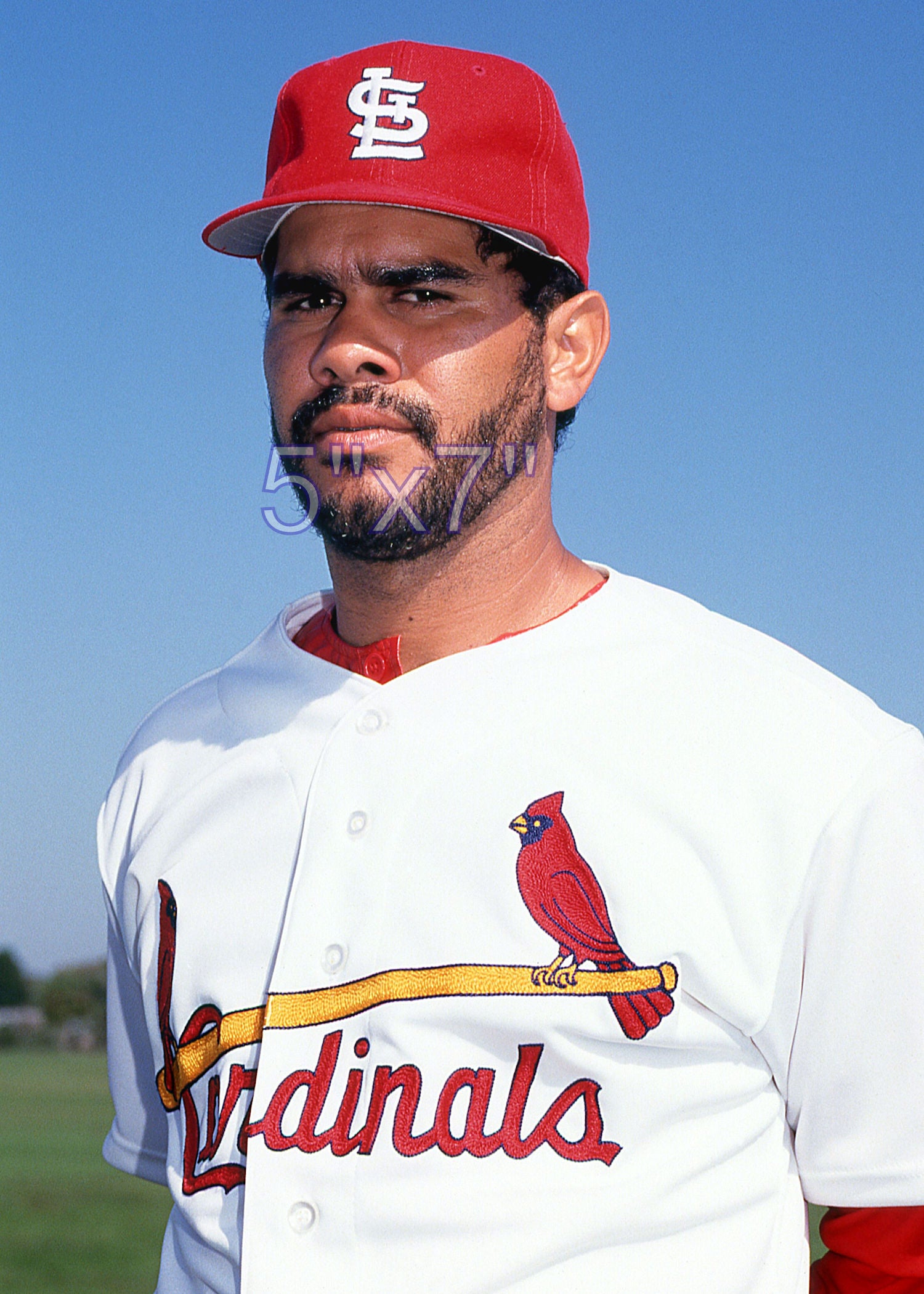 Jose Oquendo - 1992 St. Louis Cardinals - choose a size & style