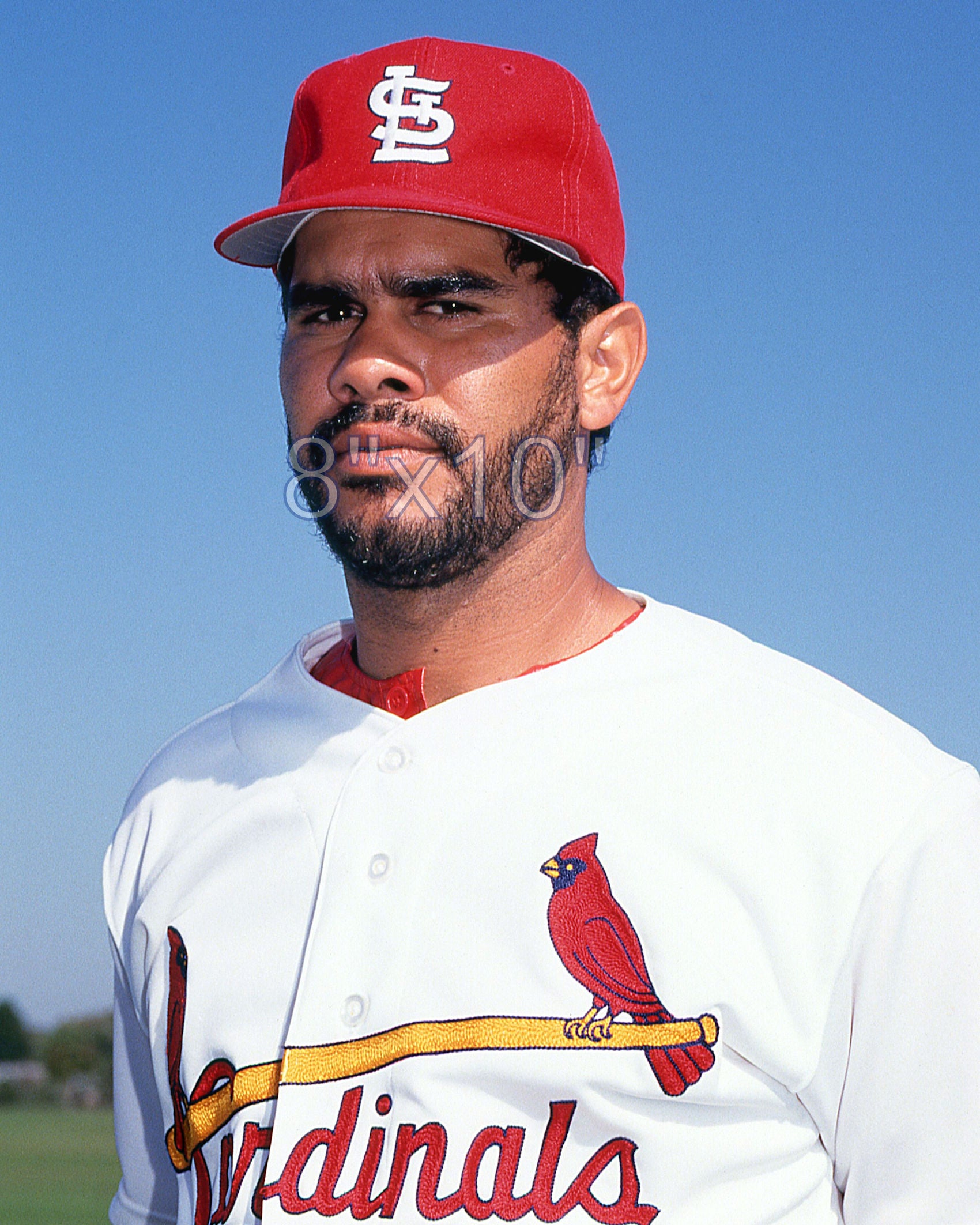 Jose Oquendo - 1992 St. Louis Cardinals - choose a size & style