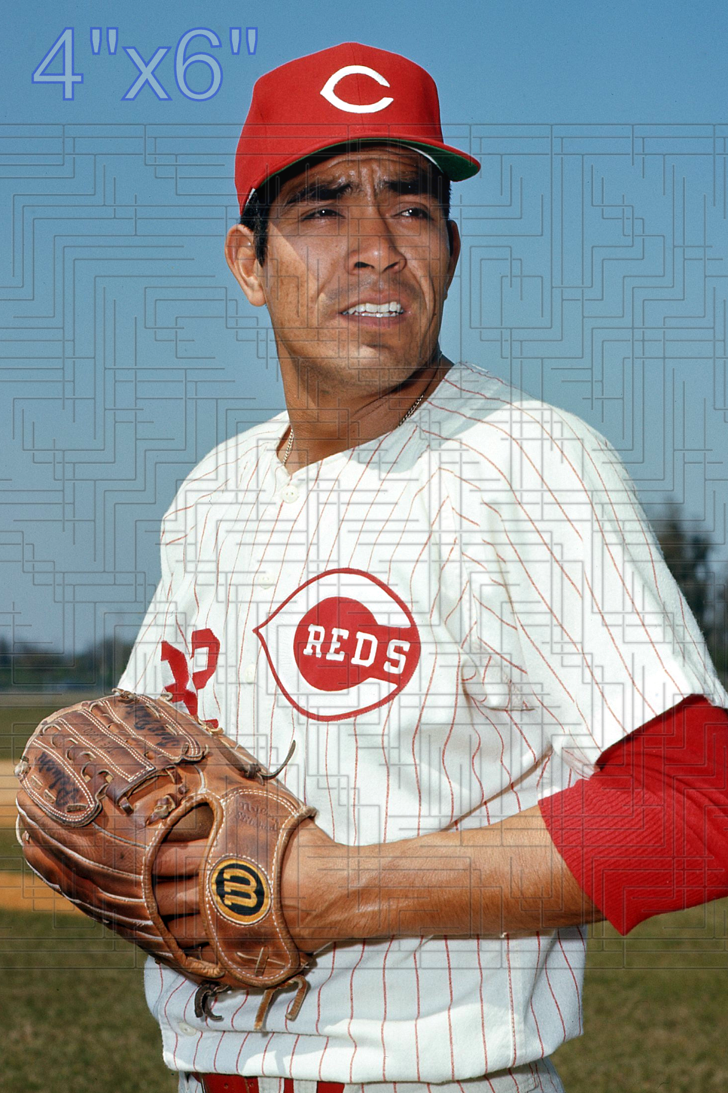 Jose Pena - 1969 Cincinnati Reds - choose a size & style