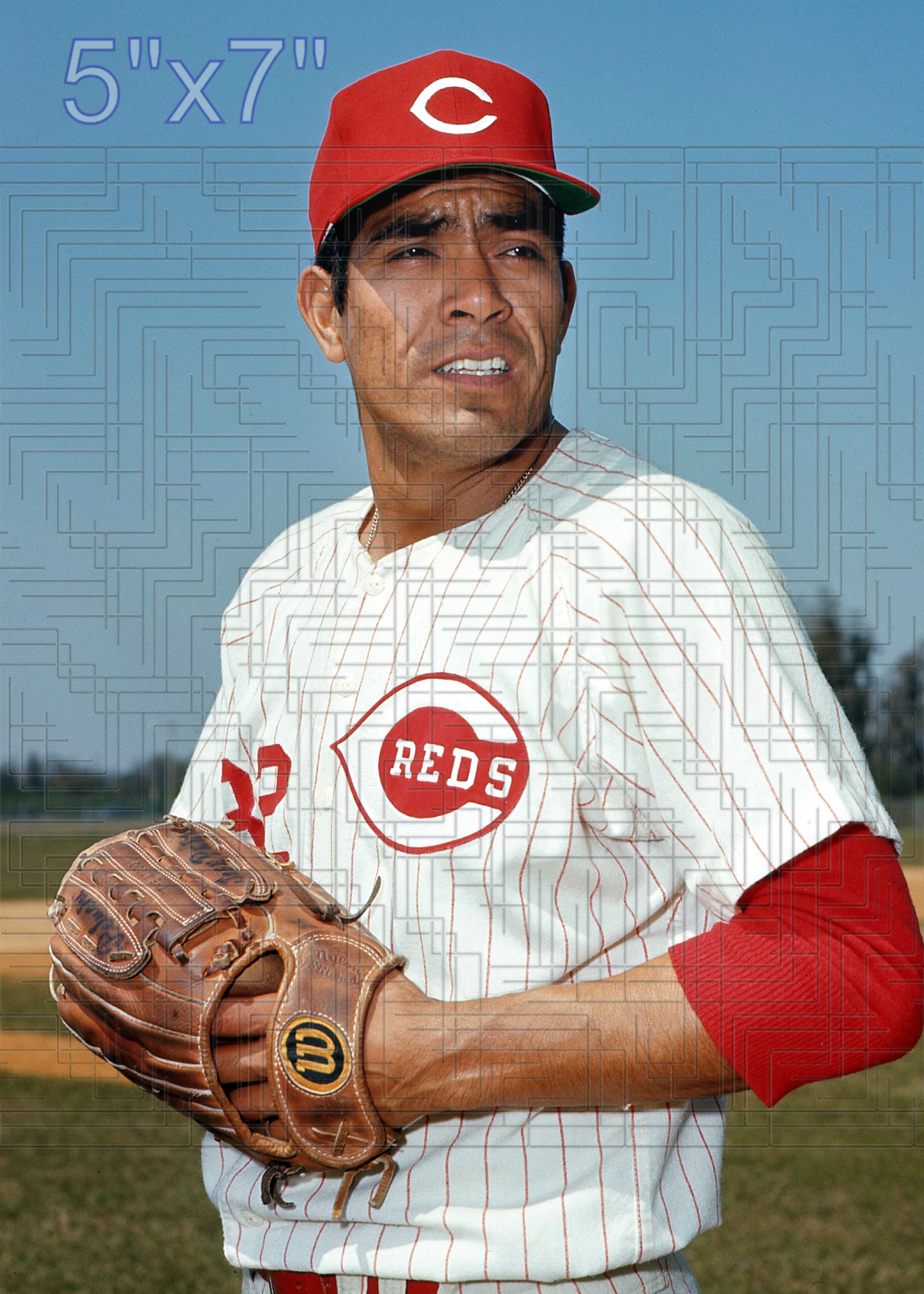 Jose Pena - 1969 Cincinnati Reds - choose a size & style