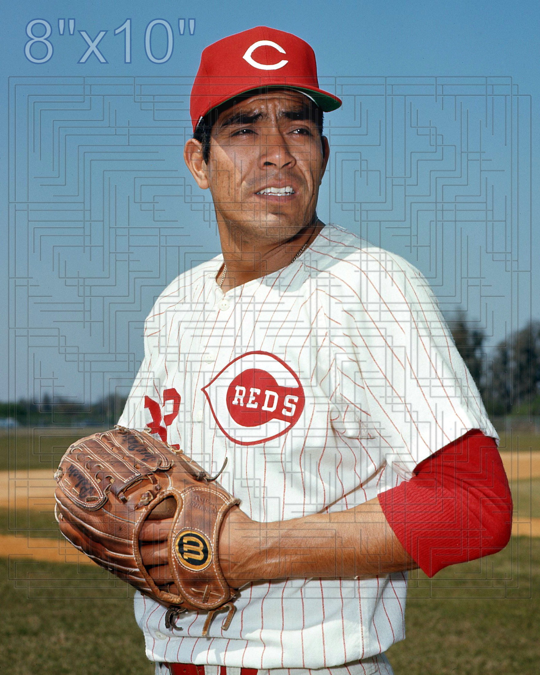 Jose Pena - 1969 Cincinnati Reds - choose a size & style