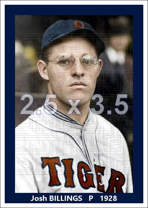 Josh Billings - 1928 Detroit Tigers - choose a size & style