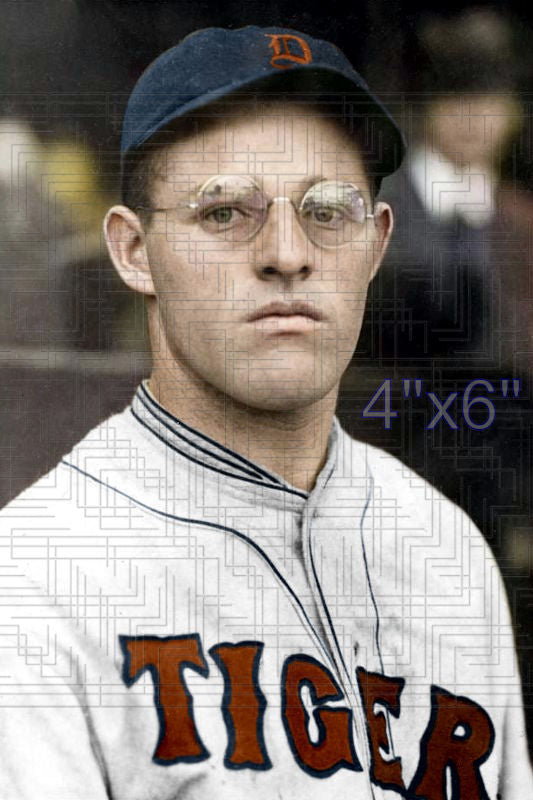 Josh Billings - 1928 Detroit Tigers - choose a size & style