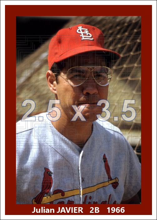 Julian Javier - 1966 St. Louis Cardinals - choose a size & style