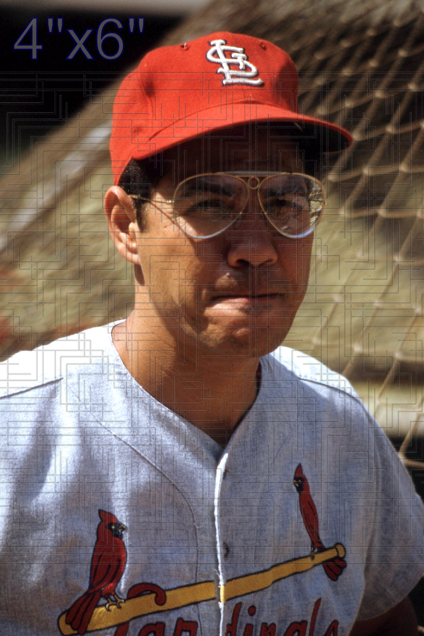Julian Javier - 1966 St. Louis Cardinals - choose a size & style