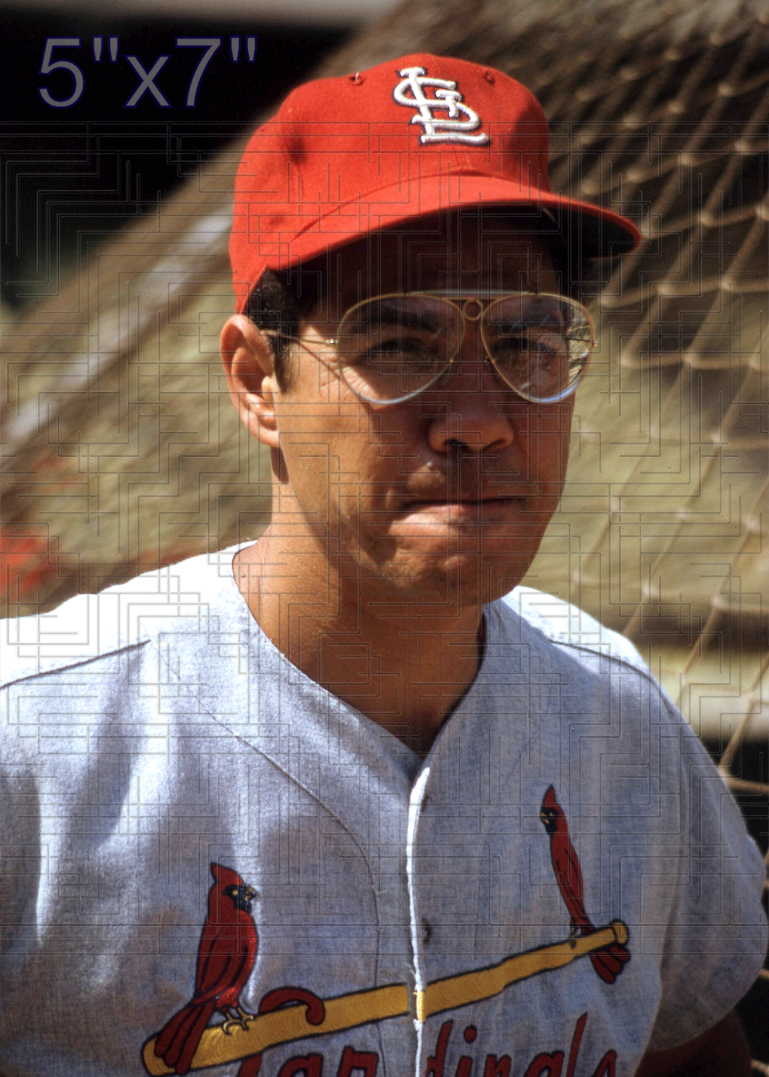 Julian Javier - 1966 St. Louis Cardinals - choose a size & style