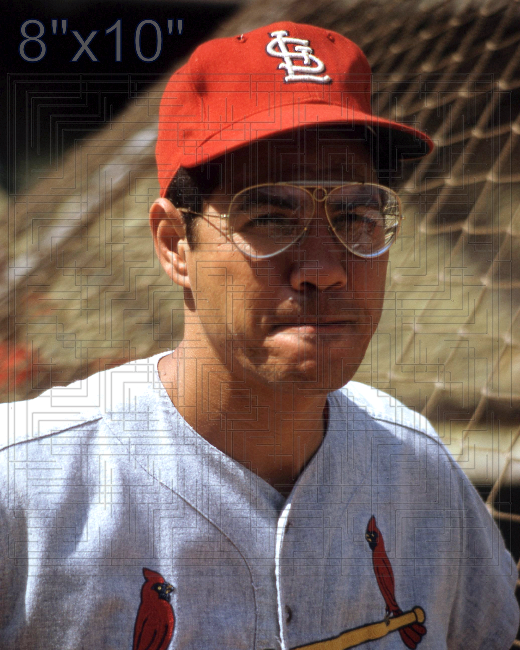Julian Javier - 1966 St. Louis Cardinals - choose a size & style