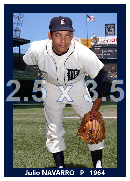 Julio Navarro - 1964 Detroit Tigers - choose a size & style