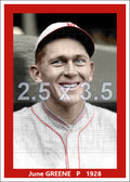 June Greene - 1928 Philadelphia Phillies - choose a size & style