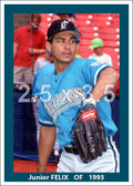 Junior Felix - 1993 Florida Marlins - choose a size & style