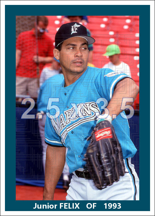 Junior Felix - 1993 Florida Marlins - choose a size & style