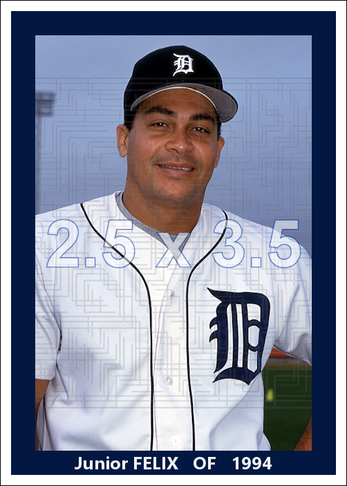 Junior Felix - 1994 Detroit Tigers - choose a size & style