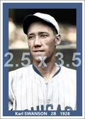 Karl Swanson - 1928 Chicago White Sox - choose a size & style