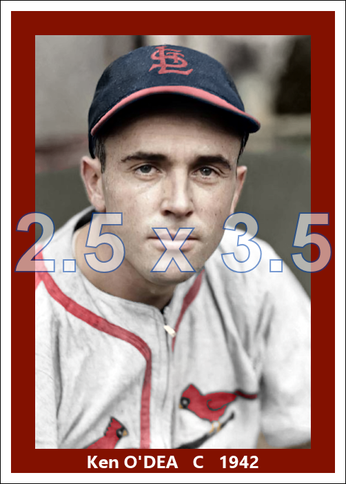 Ken O'Dea - 1942 St. Louis Cardinals - choose a size & style