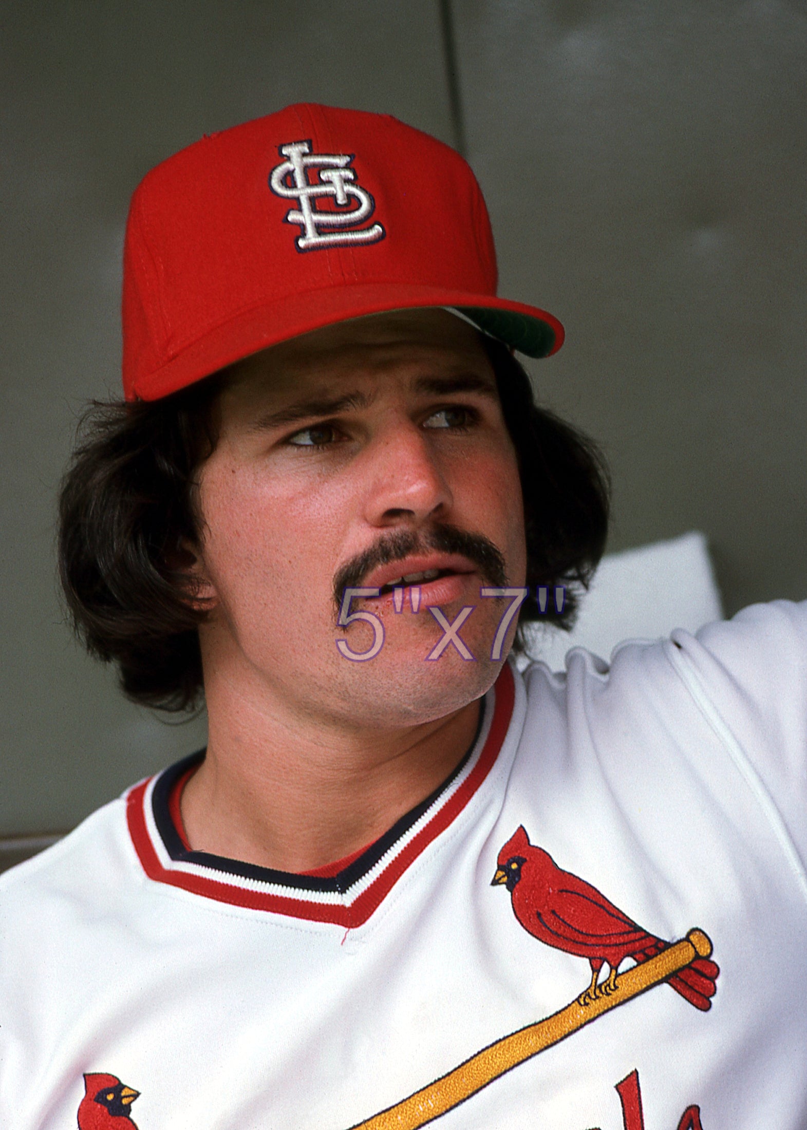 Ken Reitz - 1975 St. Louis Cardinals - choose a size & style