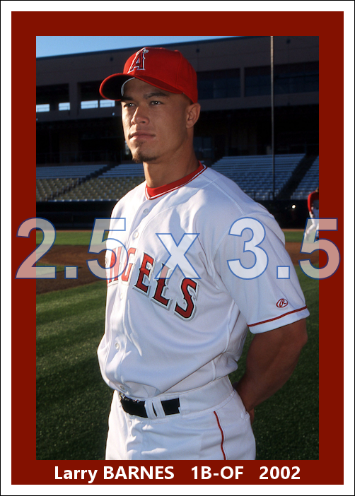 Larry Barnes - 2002 Anaheim Angels - choose a size & style