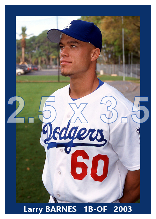 Larry Barnes - 2003 Los Angeles Dodgers - choose a size & style