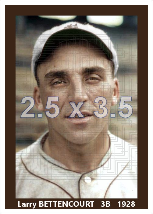 Larry Bettencourt - 1928 St. Louis Browns - choose a size & style