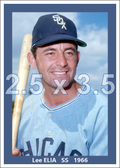 Lee Elia - 1966 Chicago White Sox - choose a size & style