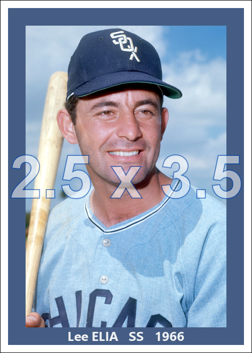 Lee Elia - 1966 Chicago White Sox - choose a size & style