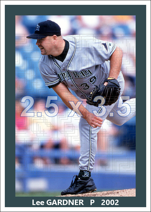 Lee Gardner - 2002 Tampa Bay Devil Rays - choose a size & style