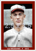 Lee Meadows - 1915 St. Louis Cardinals - choose a size & style