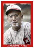 Lee Meadows - 1923 Philadelphia Phillies - choose a size & style