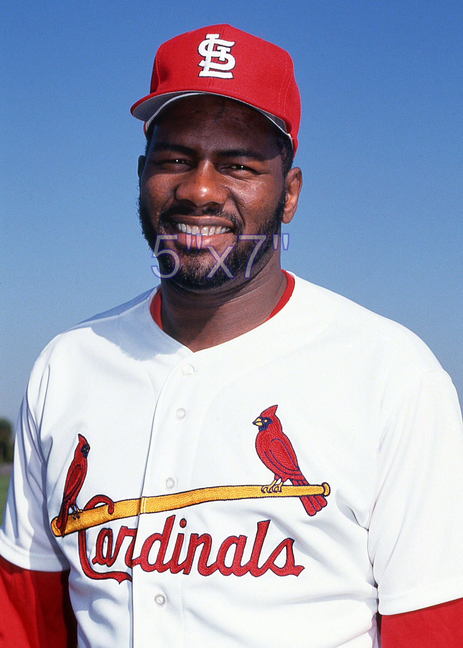 Lee Smith - 1992 St. Louis Cardinals - choose a size & style