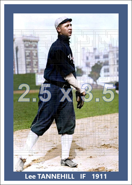 Lee Tannehill - 1911 Chicago White Sox - choose a size & style