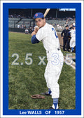 Lee Walls - 1957 Chicago Cubs - choose a size & style