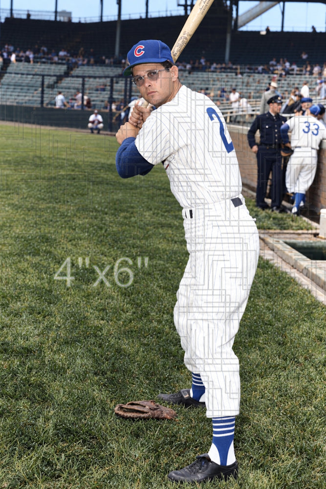 Lee Walls - 1957 Chicago Cubs - choose a size & style