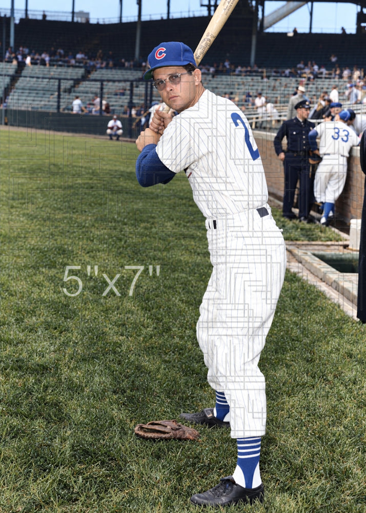 Lee Walls - 1957 Chicago Cubs - choose a size & style