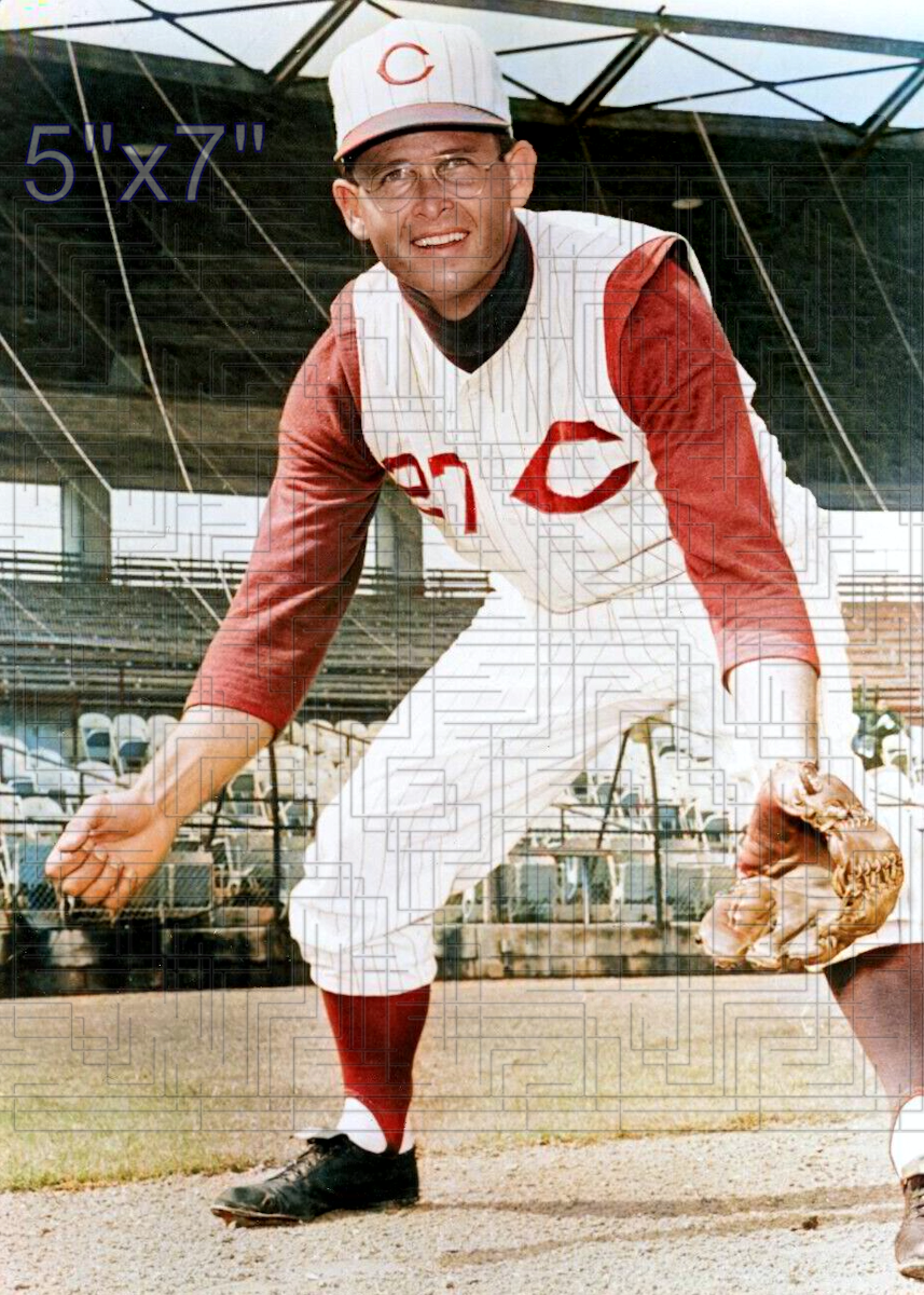 Lee Walls - 1960 Cincinnati Reds - choose a size & style