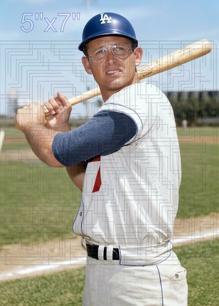 Lee Walls - 1962 Los Angeles Dodgers - choose a size & style