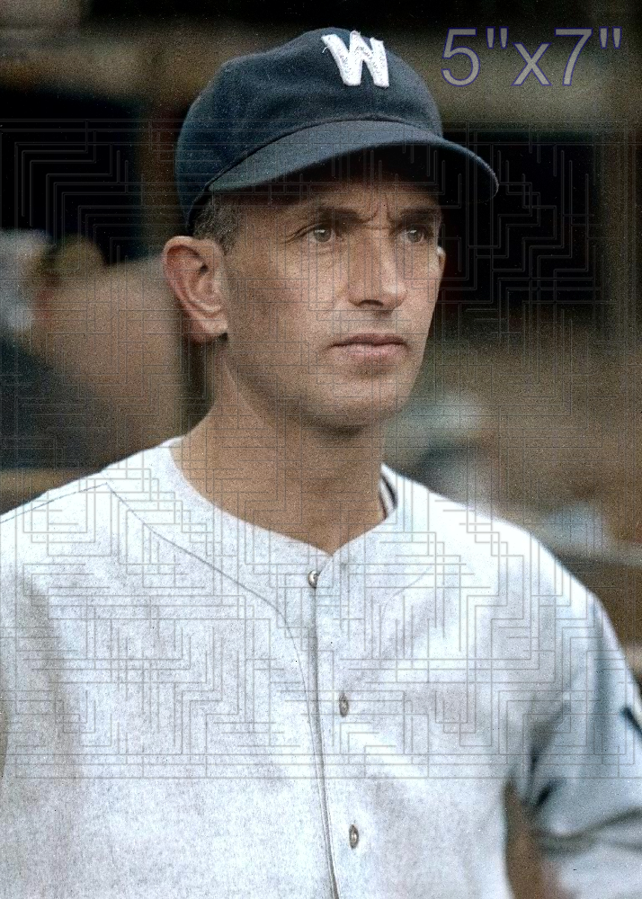 Lefty Stewart - 1935 Washington Senators - choose a size & style