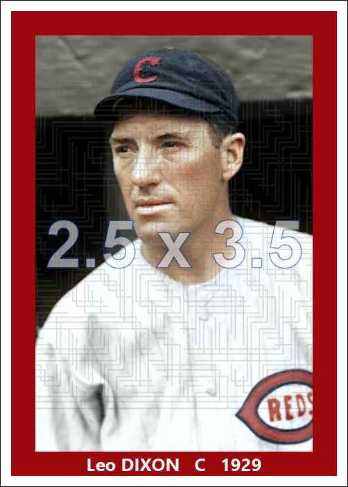 Leo Dixon - 1929 Cincinnati Reds - choose a size & style