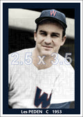 Les Peden - 1953 Washington Senators - choose a size & style