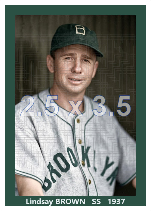 Lindsay Brown - 1937 Brooklyn Dodgers - choose a size & style
