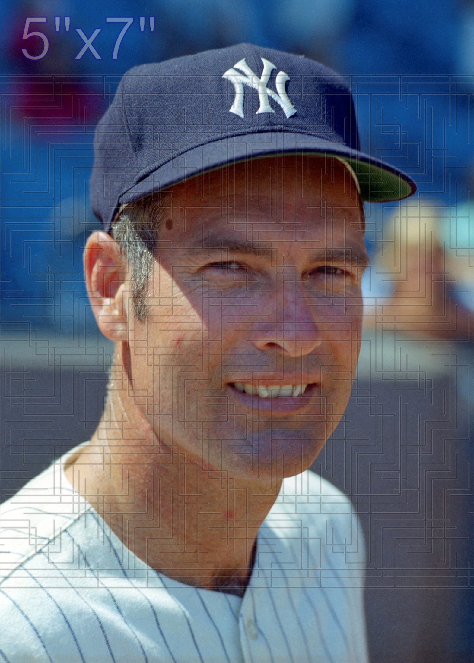 Lindy McDaniel - 1971-73 New York Yankees - choose a size & style