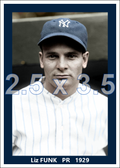Liz Funk - 1929 New York Yankees - choose a size & style