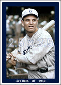 Liz Funk - 1930 Detroit Tigers - choose a size & style