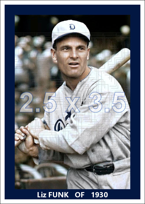 Liz Funk - 1930 Detroit Tigers - choose a size & style