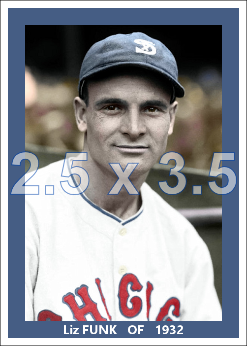 Liz Funk - 1932 Chicago White Sox - choose a size & style