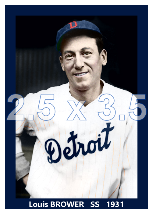 Louis Brower - 1931 Detroit Tigers - choose a size & style