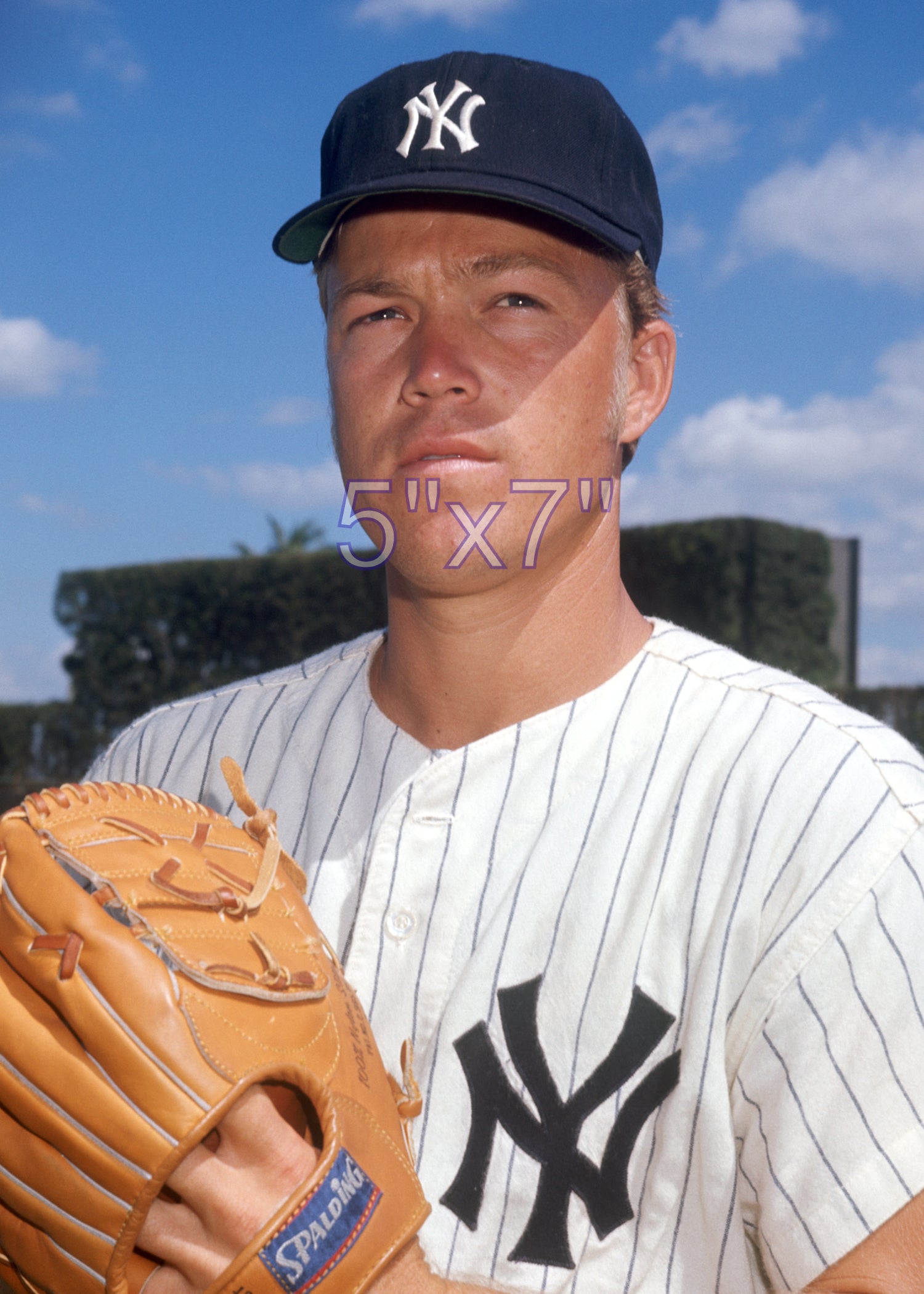 Loyd Colson - 1970 New York Yankees - choose a size & style