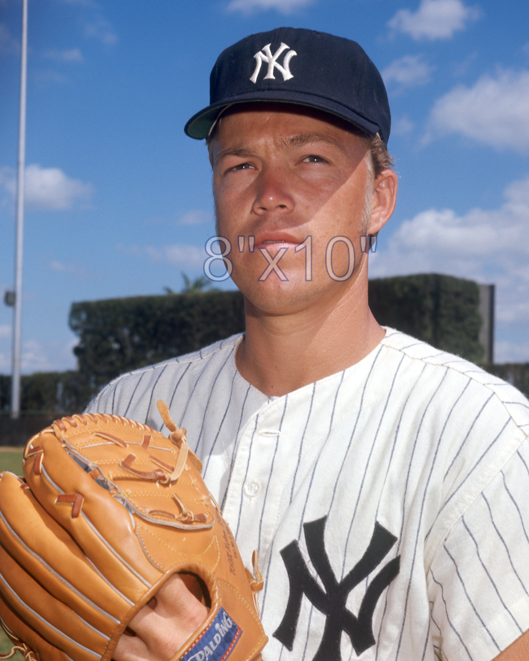 Loyd Colson - 1970 New York Yankees - choose a size & style
