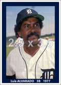 Luis Alvarado - 1977 Detroit Tigers - choose a size & style