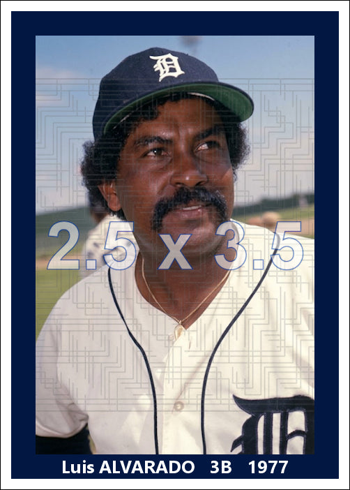 Luis Alvarado - 1977 Detroit Tigers - choose a size & style