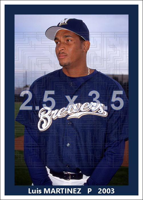 Luis Martinez - 2003 Milwaukee Brewers - choose a size & style