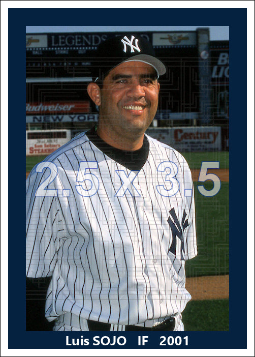 Luis Sojo - 2001 New York Yankees - choose a size & style